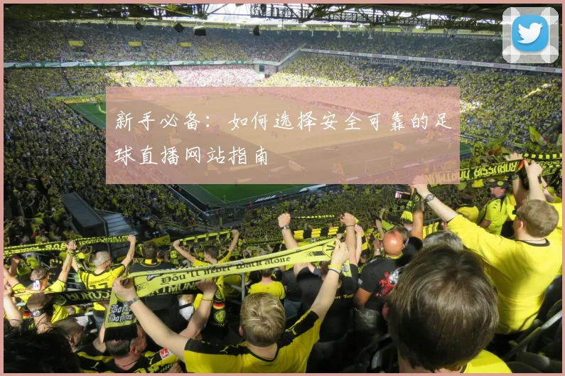 新手必备：如何选择安全可靠的足球直播网站指南